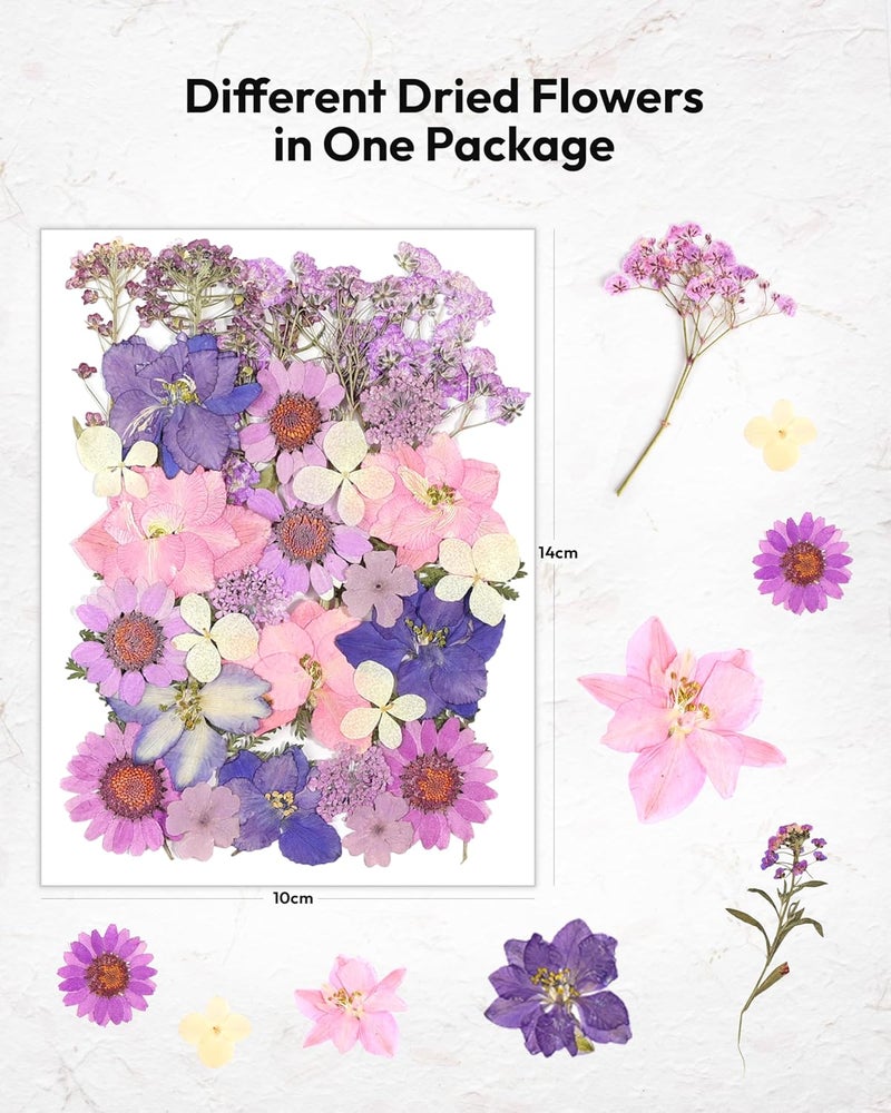 Resiners Dried Flowers, 58Pcs Pressed Flowers for Craft Purple Real Natural Dried Flowers Dry Leaves Kit for DIY Making Crafts Resin Soap Candle Scrapbook Supplies Card Making Jewelry - Image 2